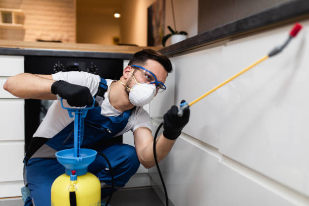 Best Pest Control Near Me  in Berly, MO