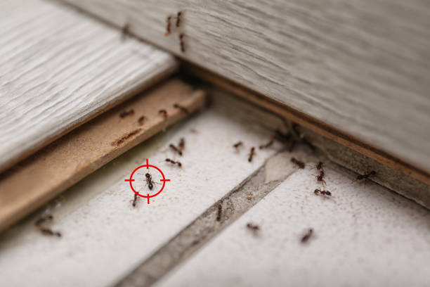 Best Pest Control Cost  in Berly, MO