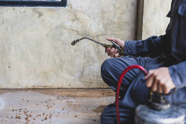 Best Best Pest Control Companies  in Berly, MO
